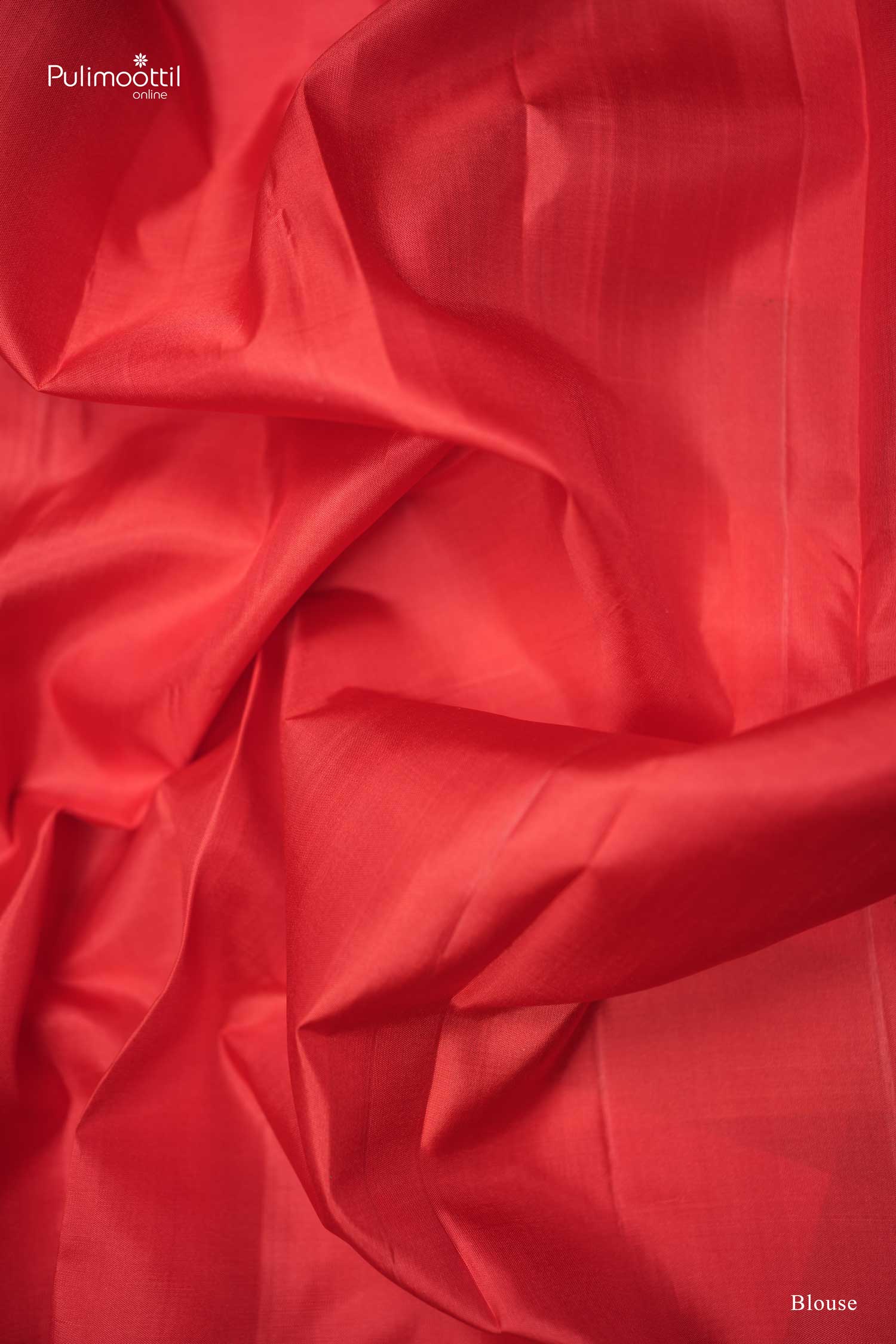 Classic Borderless Palum Paazhamum Kanchipuram Silk Saree