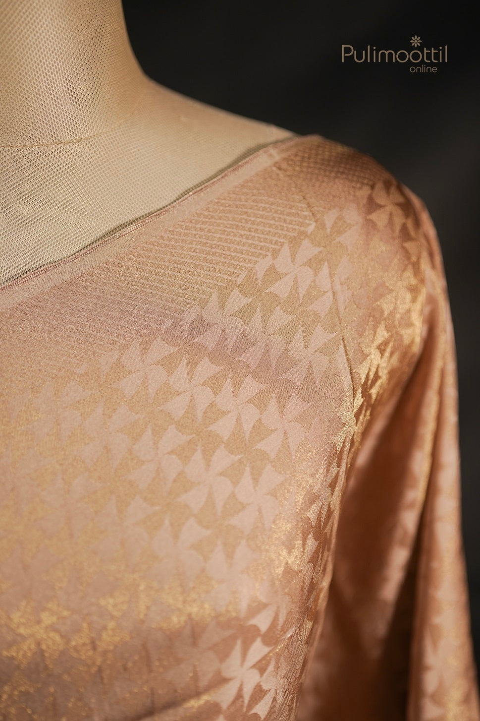 Pastel Chikoo Shade Colour Banarasi Saree.