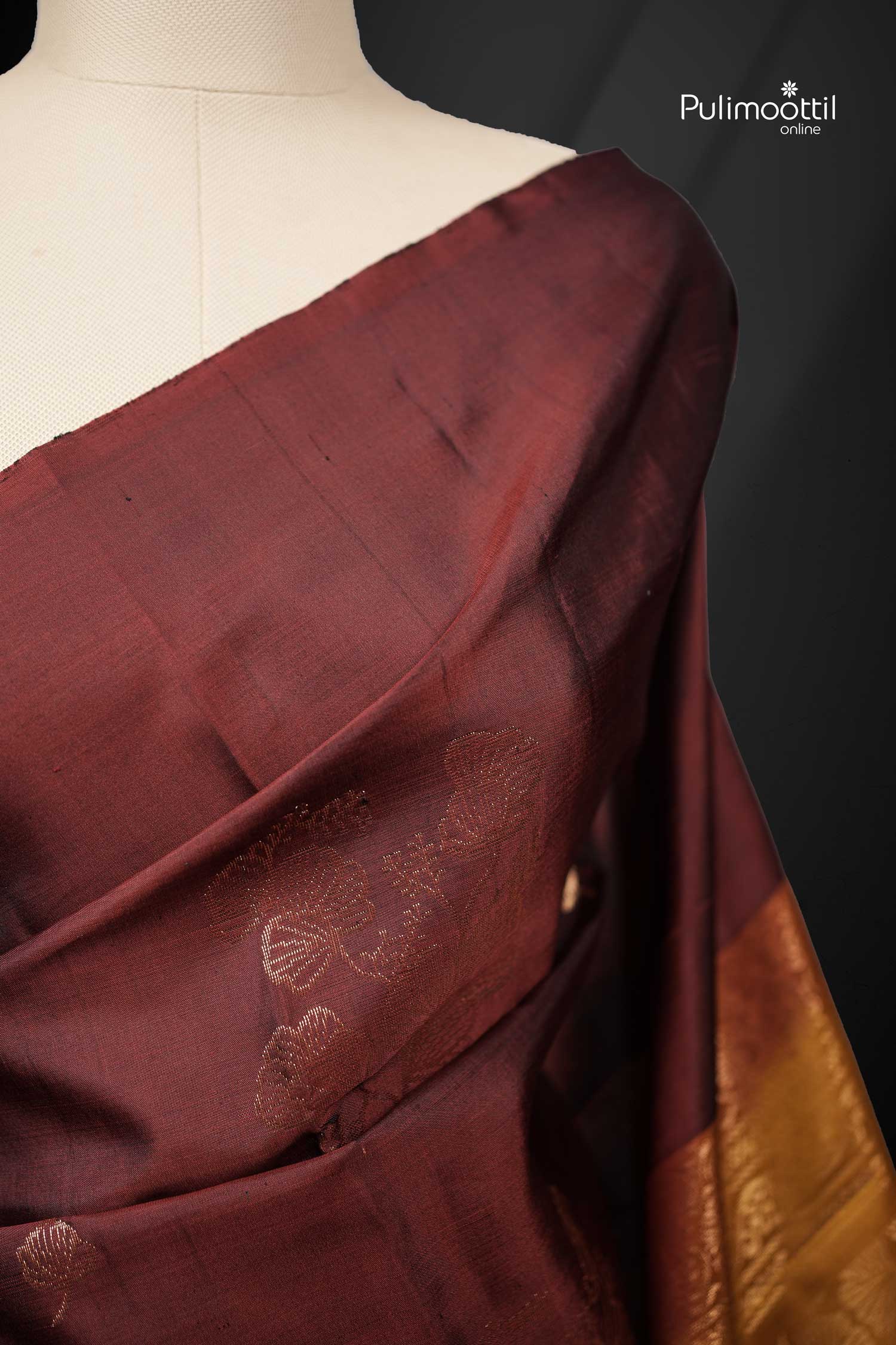 Maroon Color BorderLess Kanchipuram Saree.