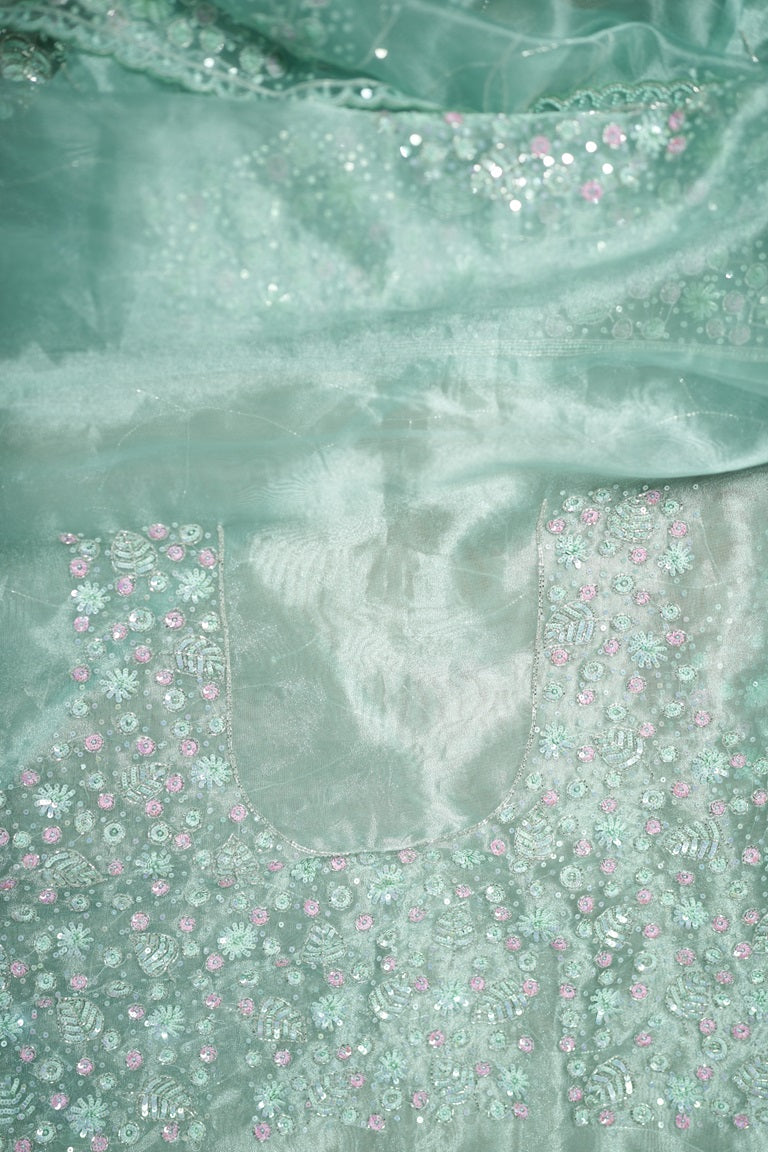 Light turquoise-colored organza fancy saree