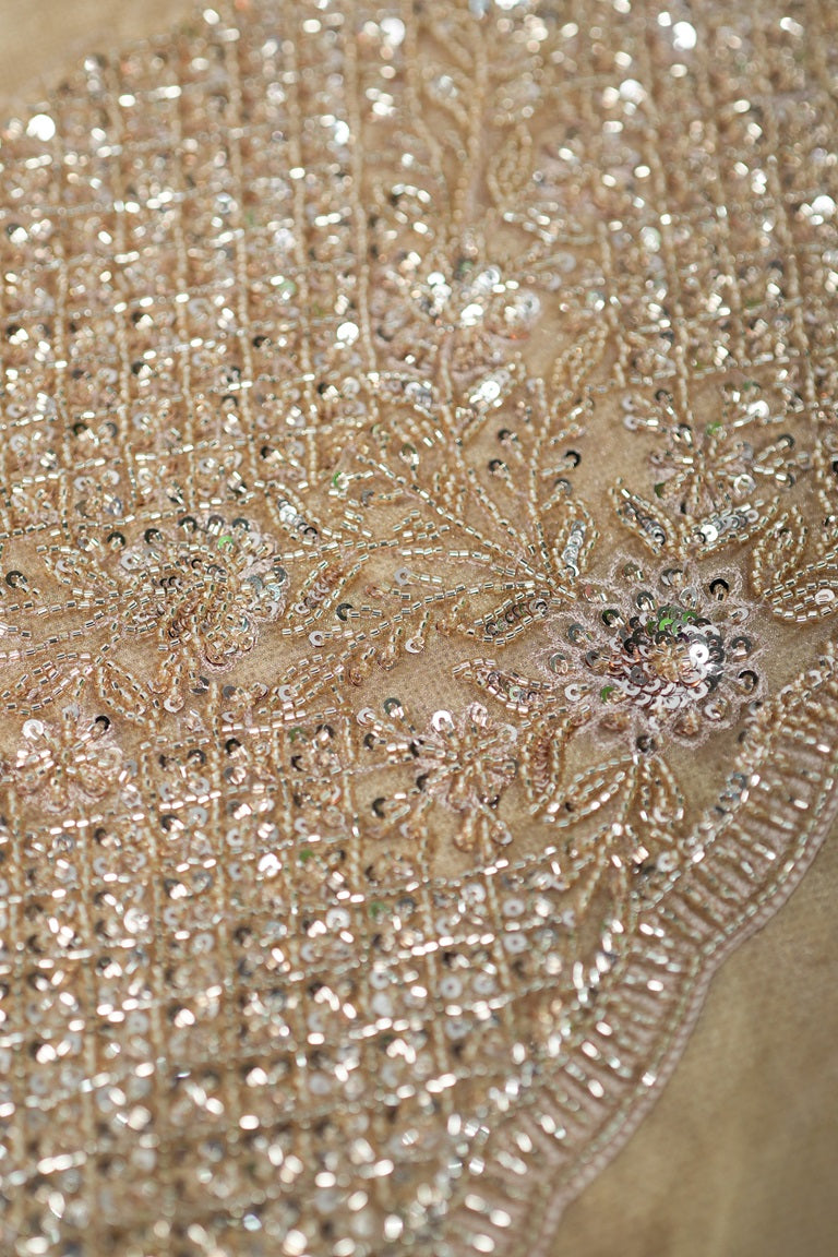 Light chickoo-colored shimmer organza fancy saree