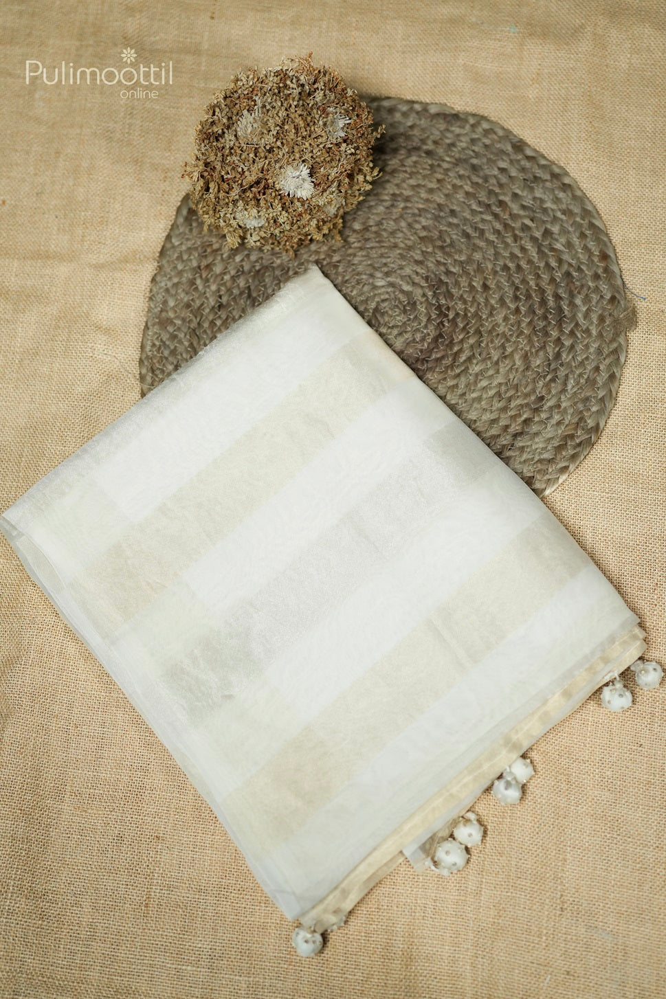 Dark Cream Colour Organza Fancy Saree