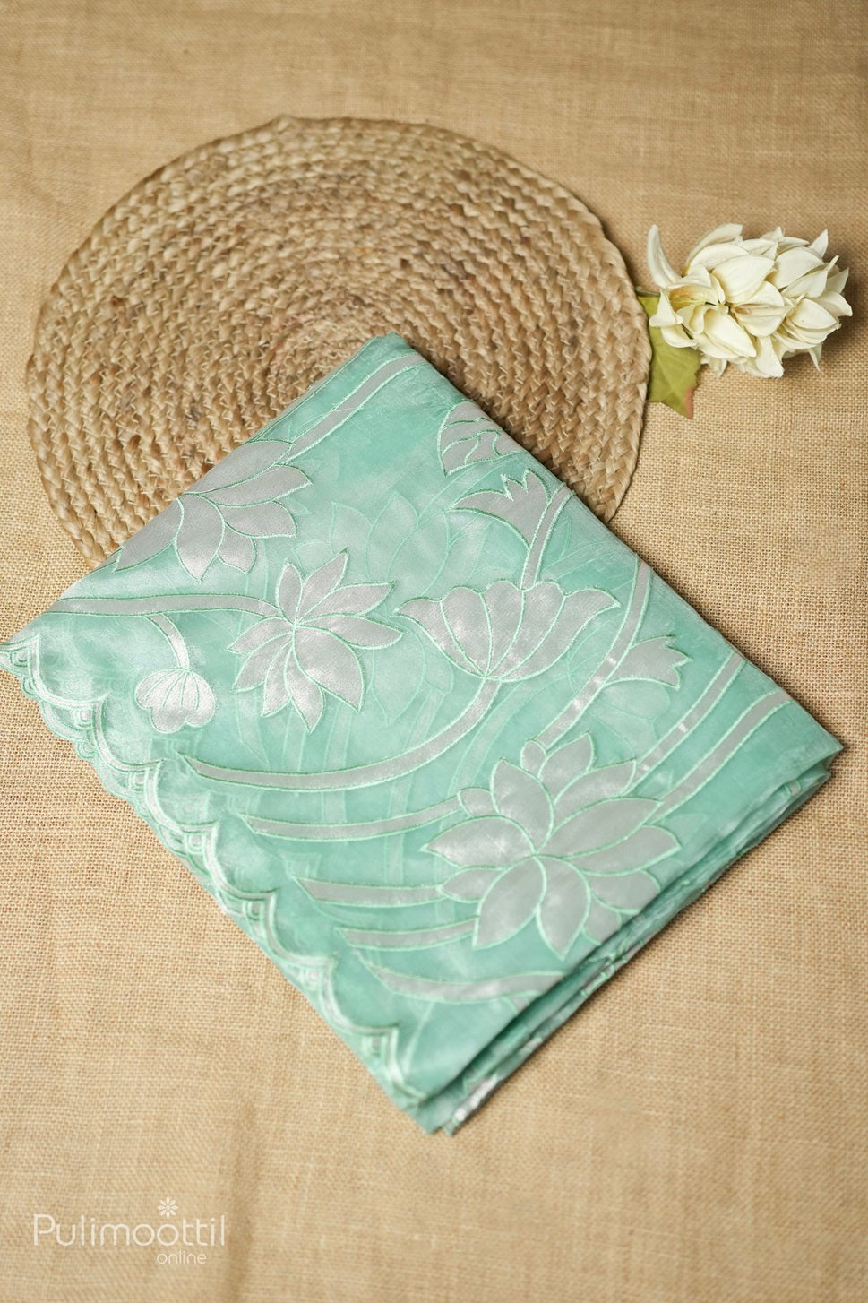 Aqua green-colored tissue organza appliqué work fancy saree