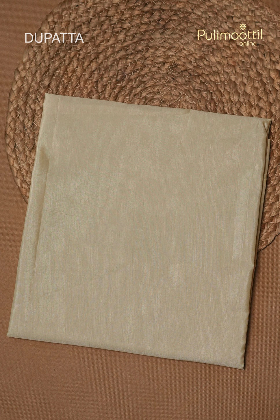Ivory Crushed Organza Unstitched Salwar Set