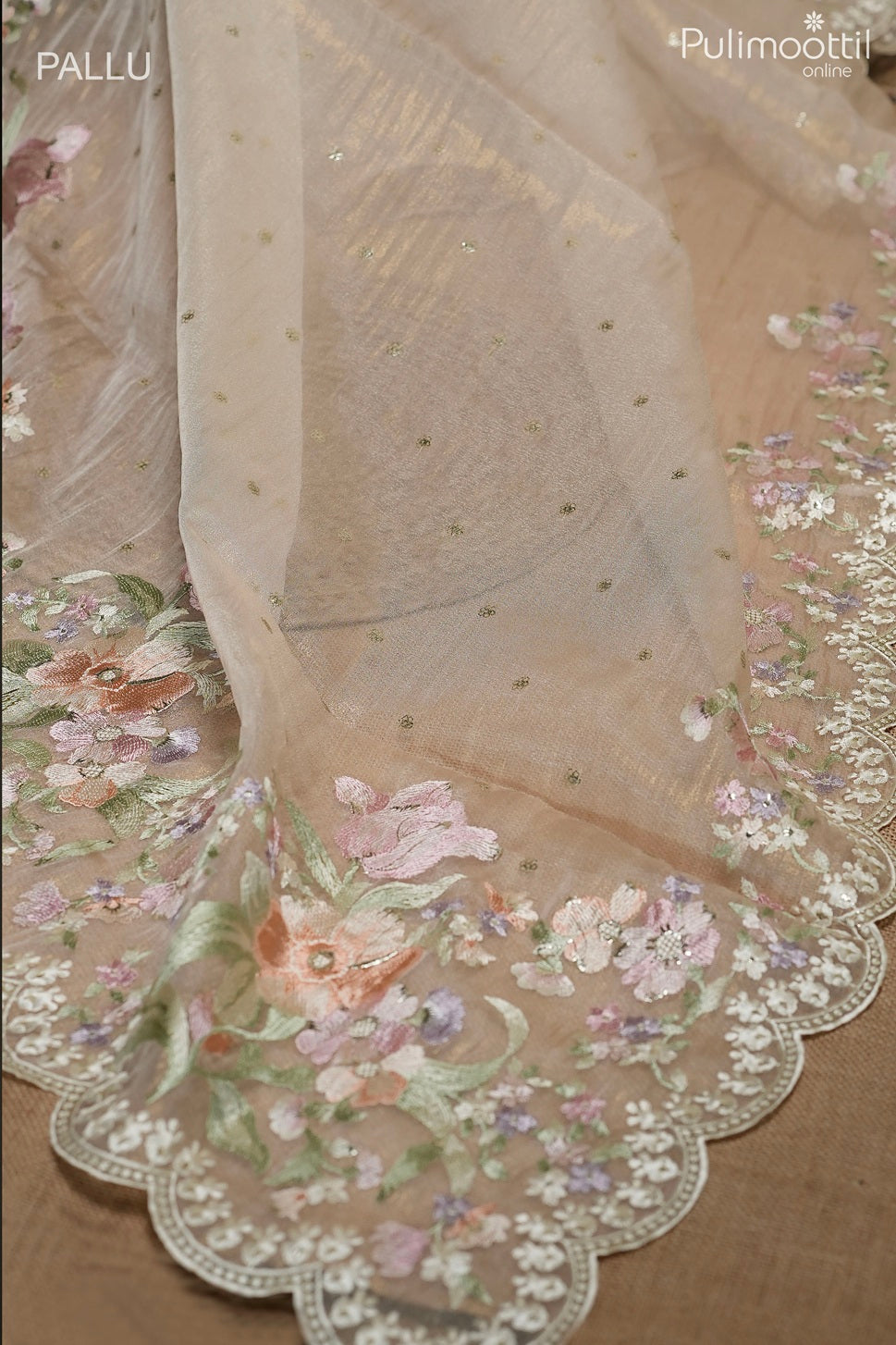 Light chikoo color golden tissue organza fancy saree