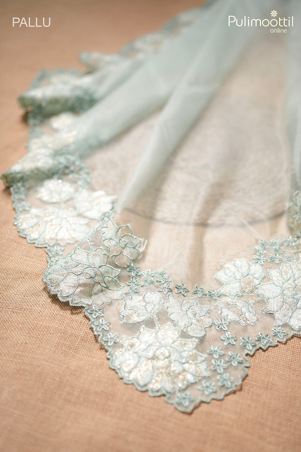 Pastel mint green color organza fancy saree