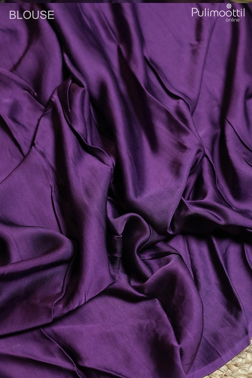 Dark violet color organza fancy saree