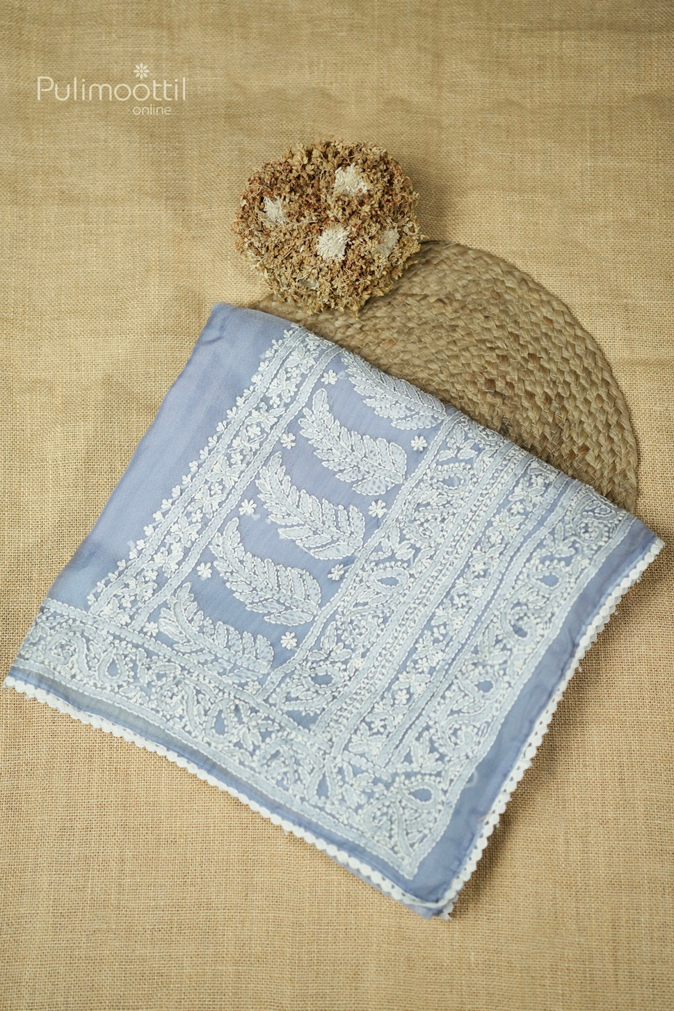 Steel Blue Colour Chikankari Work Organza Fancy Saree.