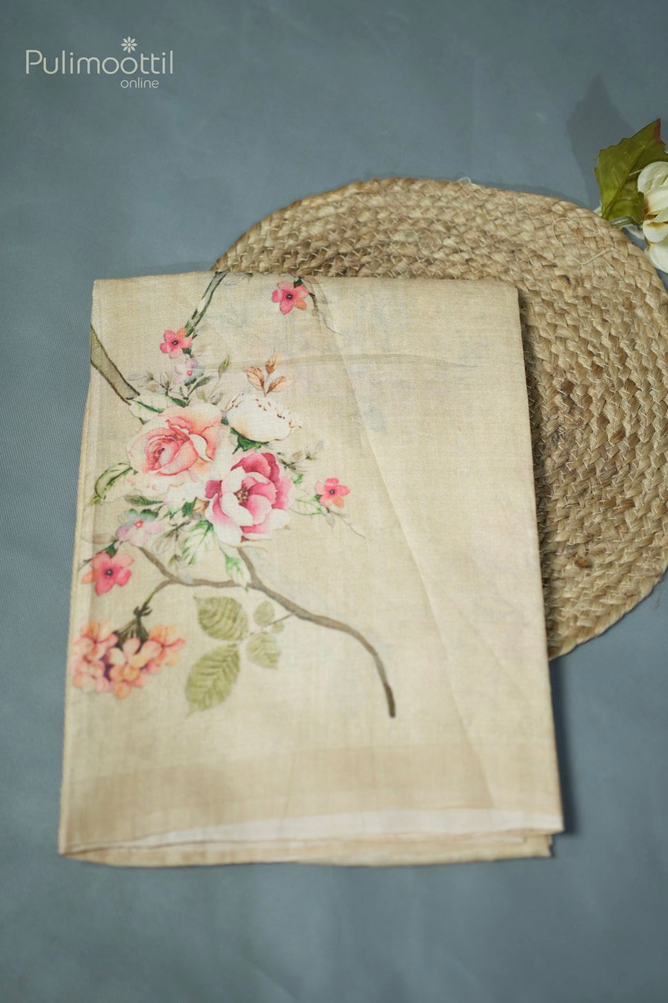 Light chickoo-colored printed Tussar silk saree