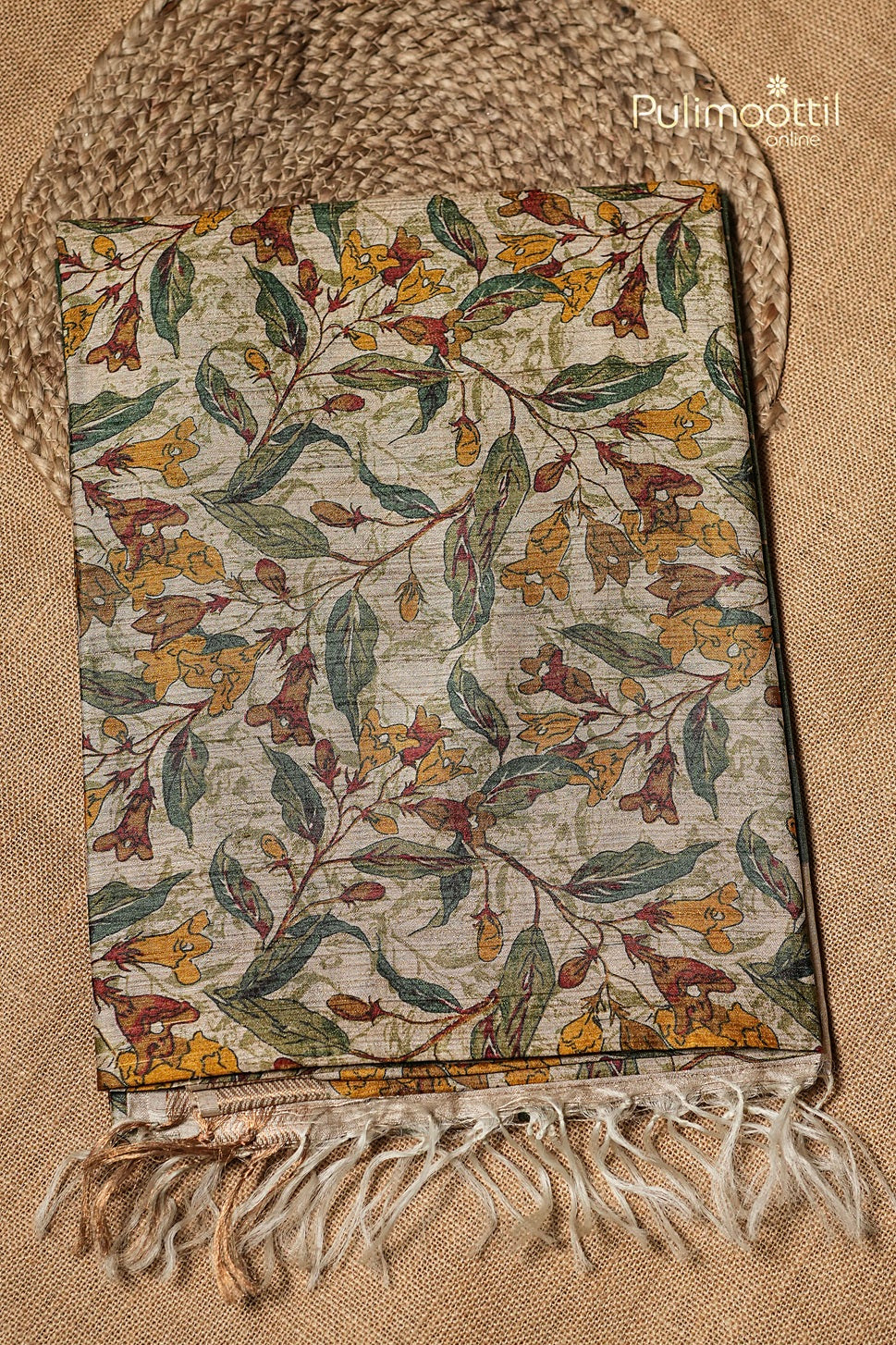 Light Chikoo Colour Jute Silk Saree
