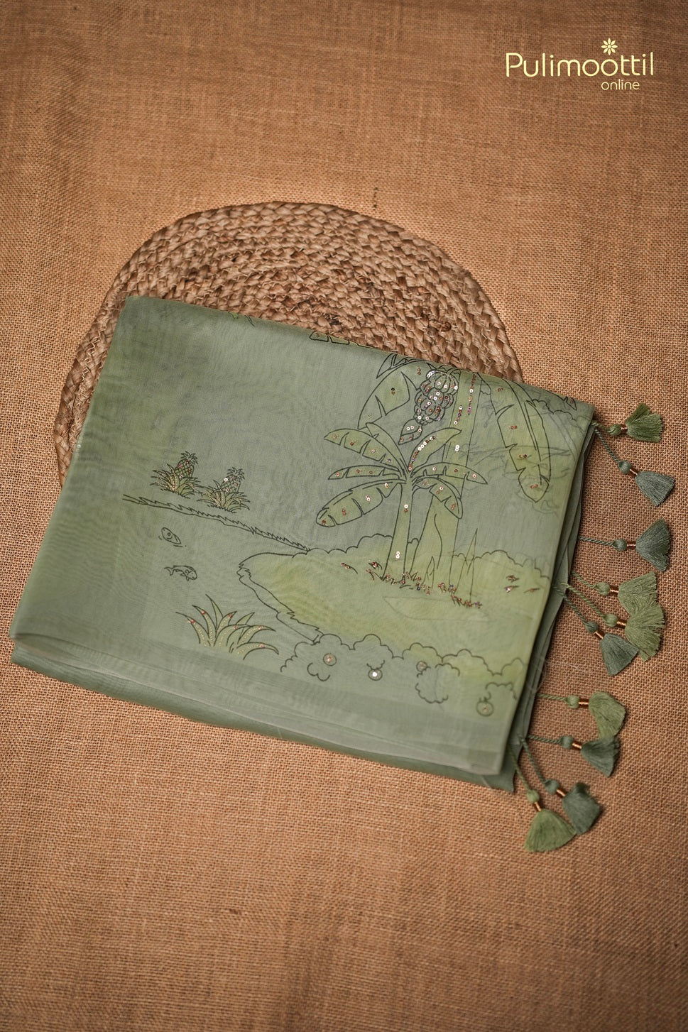Mint Green Colour Organza Fancy Saree