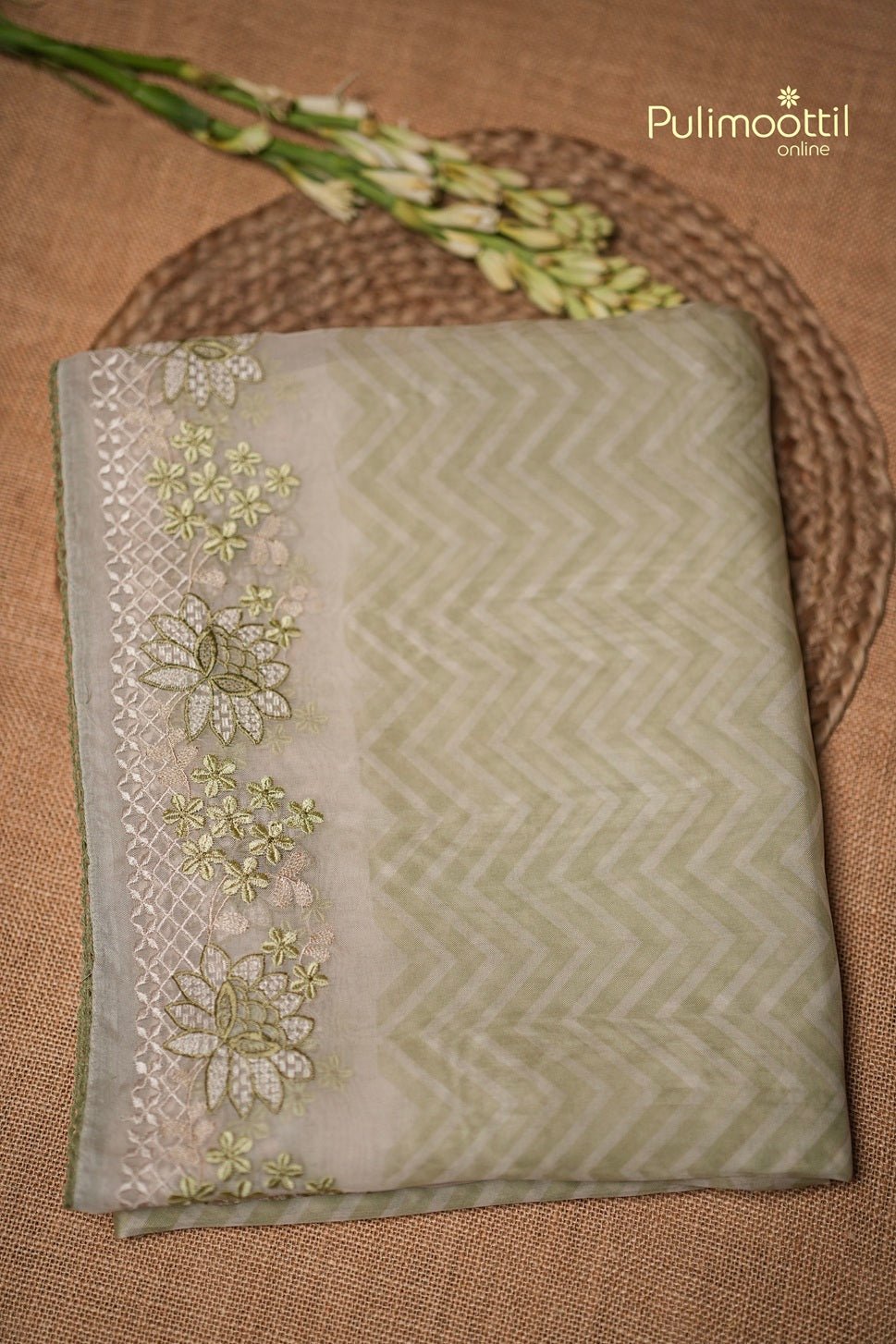Pastel Light Green Colour Organza Fancy Saree