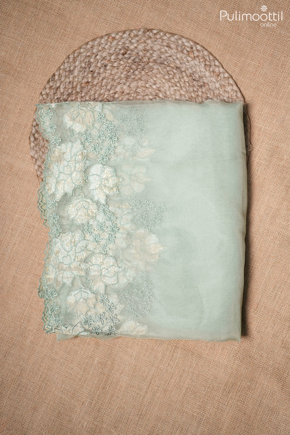 Pastel mint green color organza fancy saree