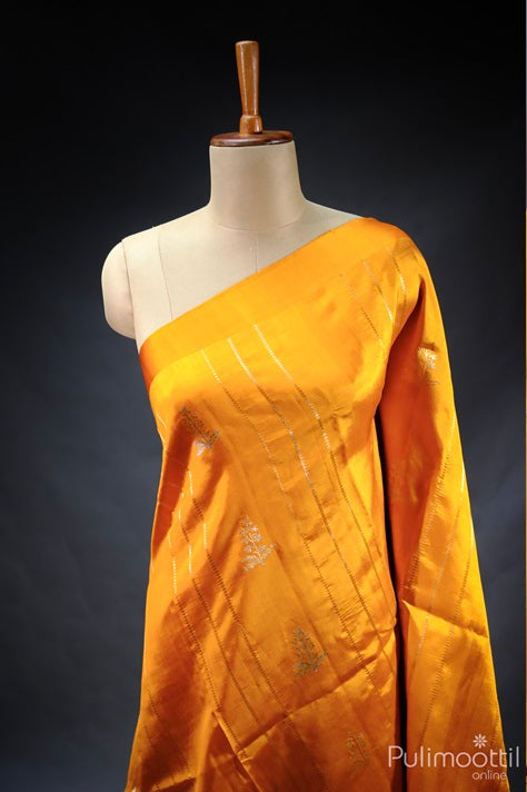 Golden Yellow Mango Saree with Geometric Pattern Lines and Mixed Zari Floral Design, Draped on a Dress Form.
