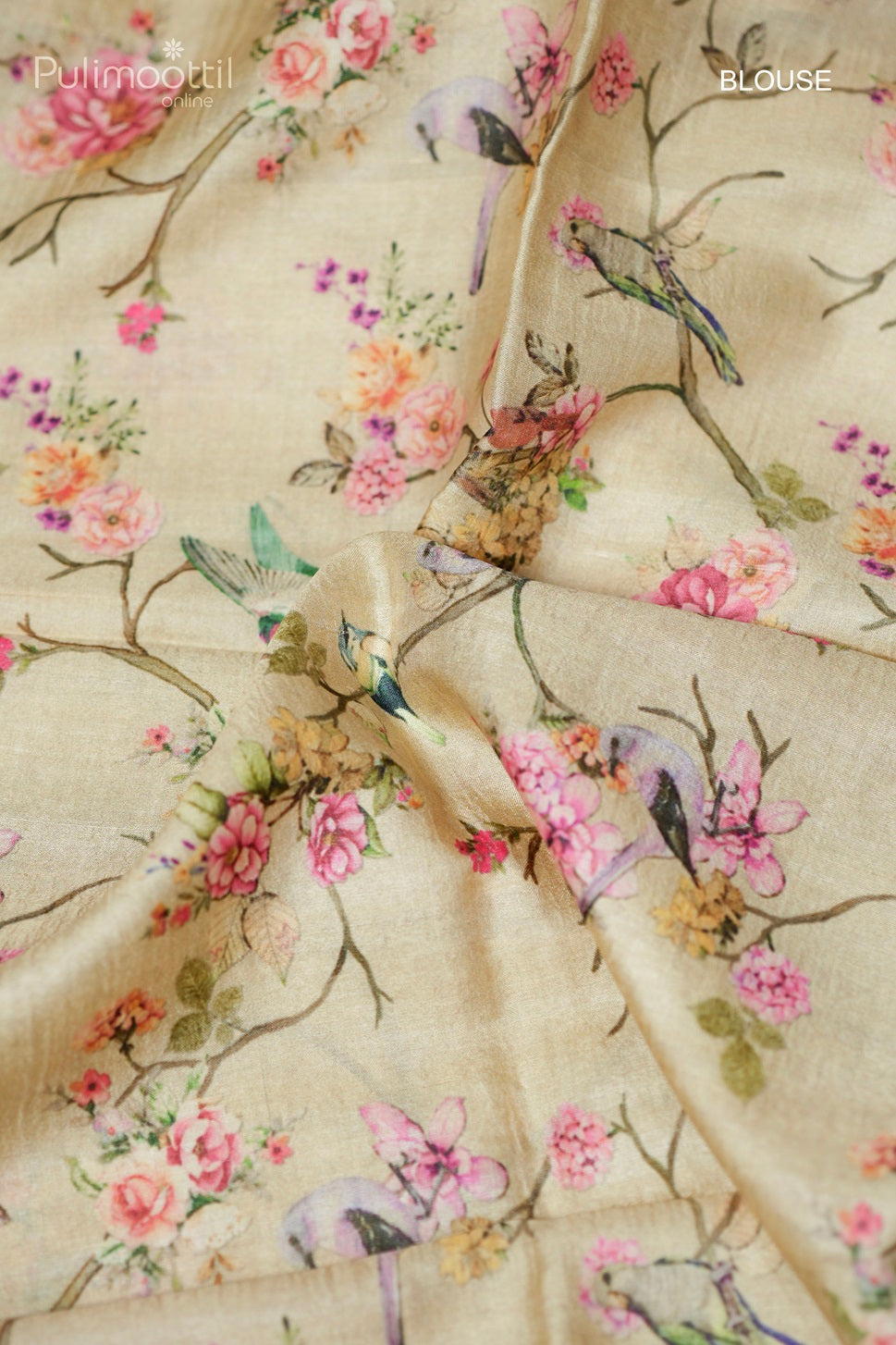 Light chickoo-colored printed Tussar silk saree