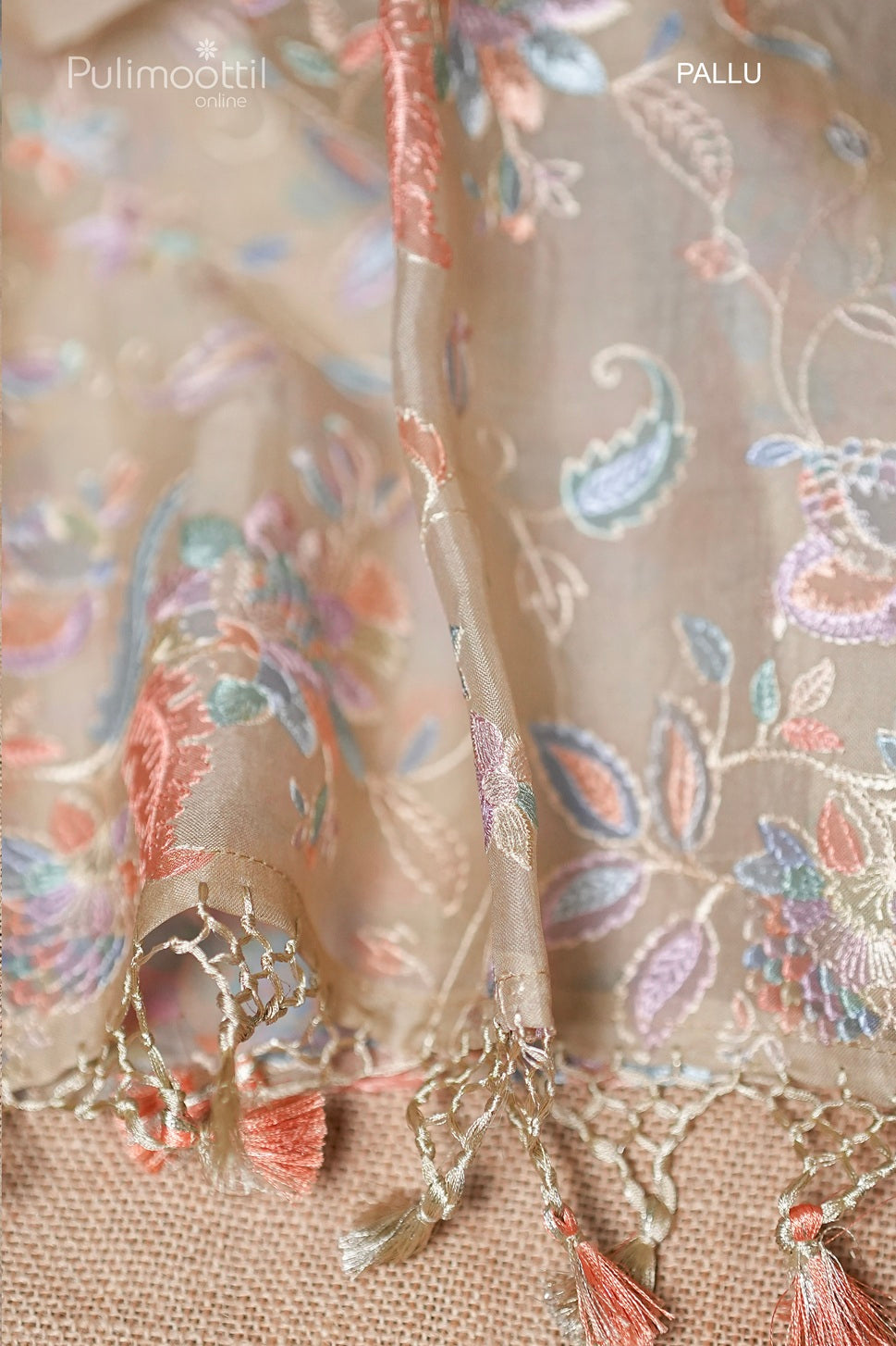 Chickoo Colour Pure Organza Saree