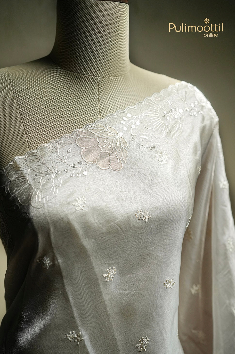 Light Chikoo Colour Rose Gold Tissue Appliqué Work Organza Saree
