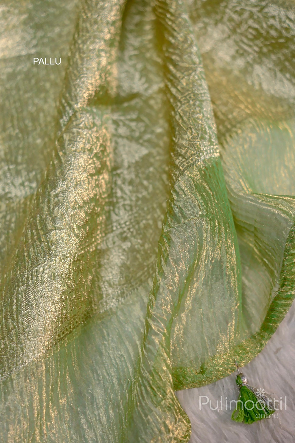 "Close-up of the pallu of a mint green Banarasi silk saree, showcasing the delicate gold zari floral pattern and the soft crushed texture of the fabric, with a tassel detail adding elegance to the design.