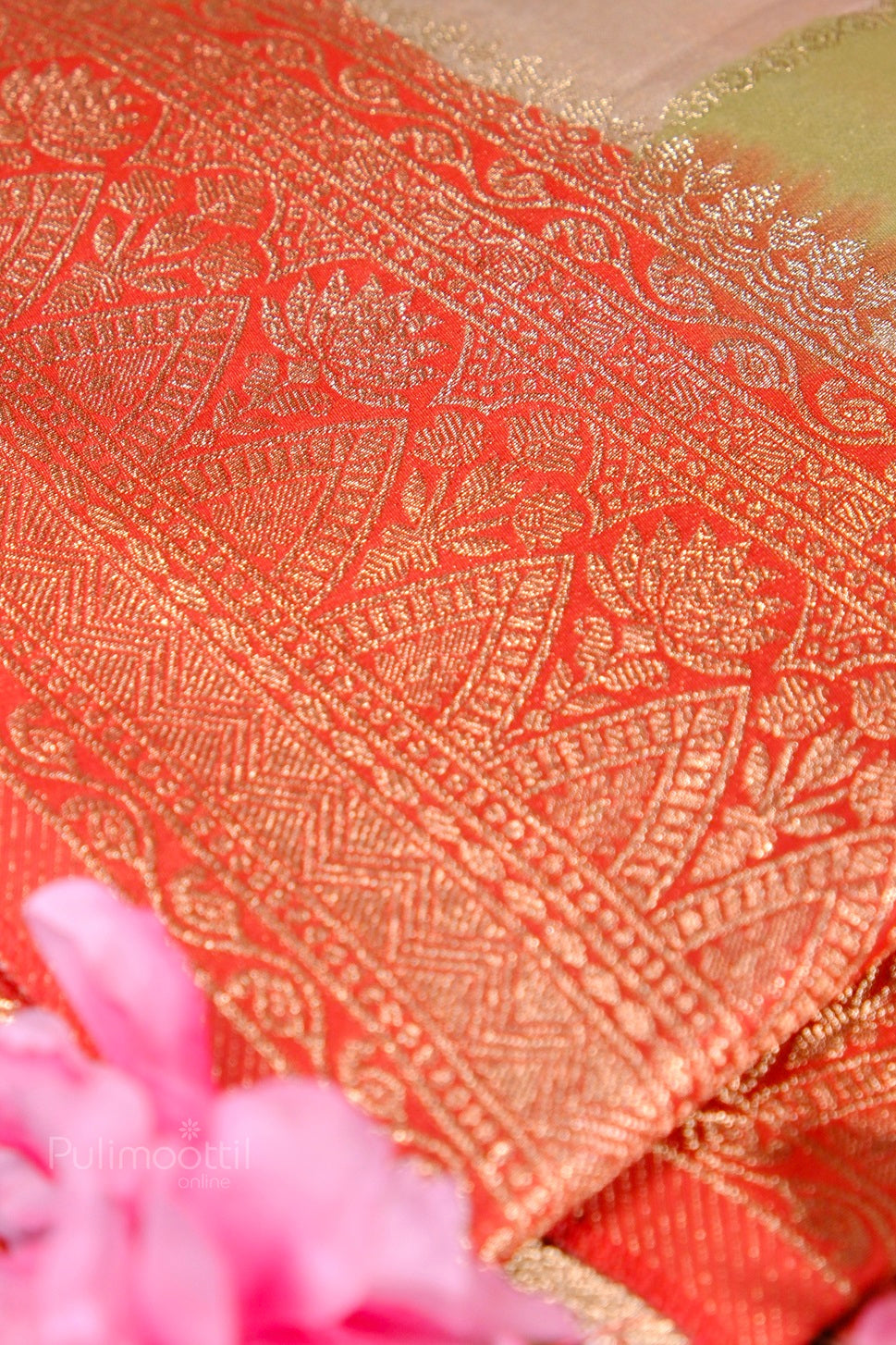 Detailed view of red Banarasi border with rich golden zari floral patterns on organza saree.

