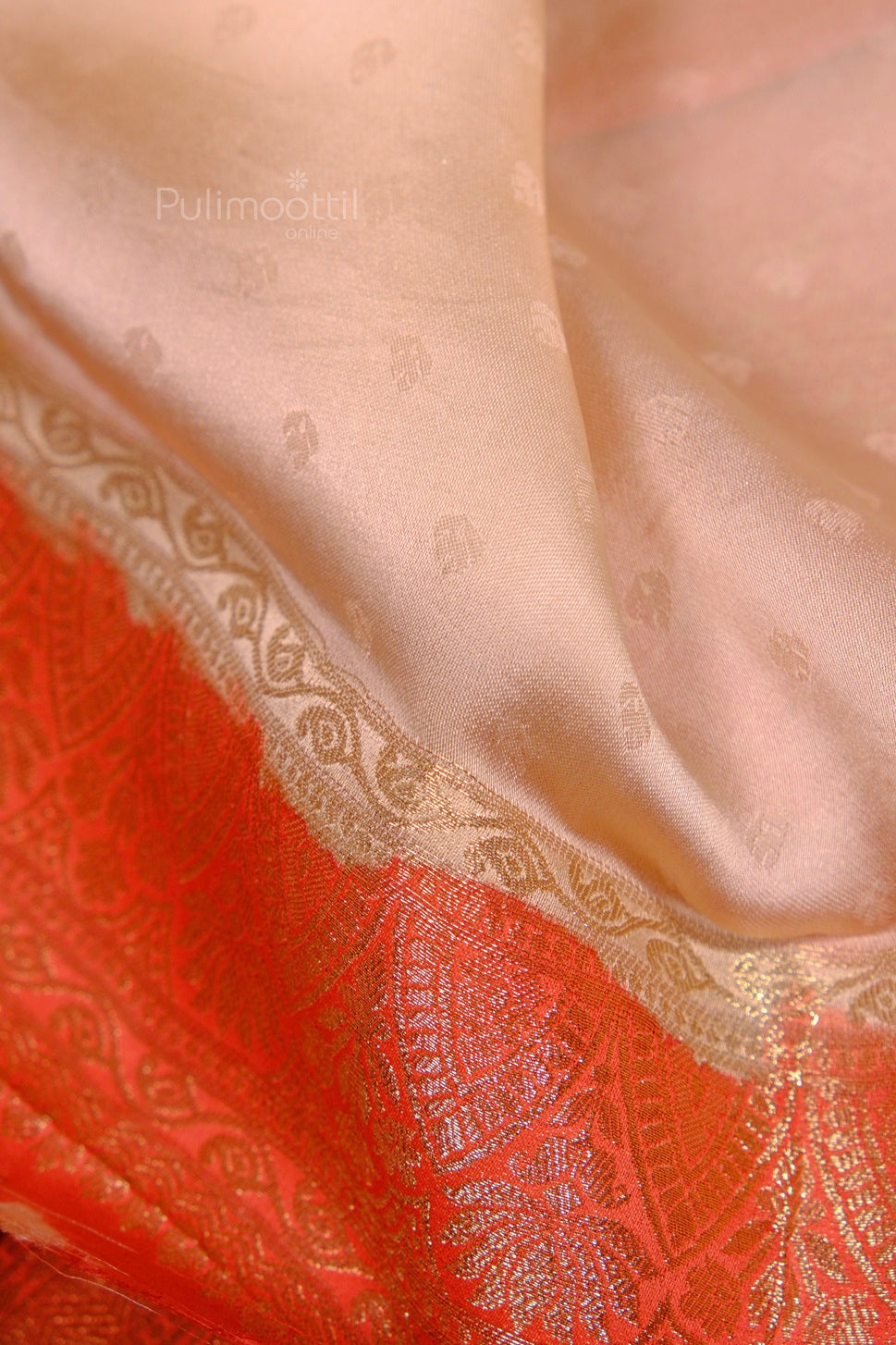 Sheer body of multicolour organza Banarasi saree showing subtle shine and fine weaving.