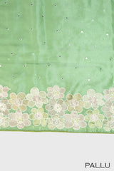 Pastel green color soft Organza saree.