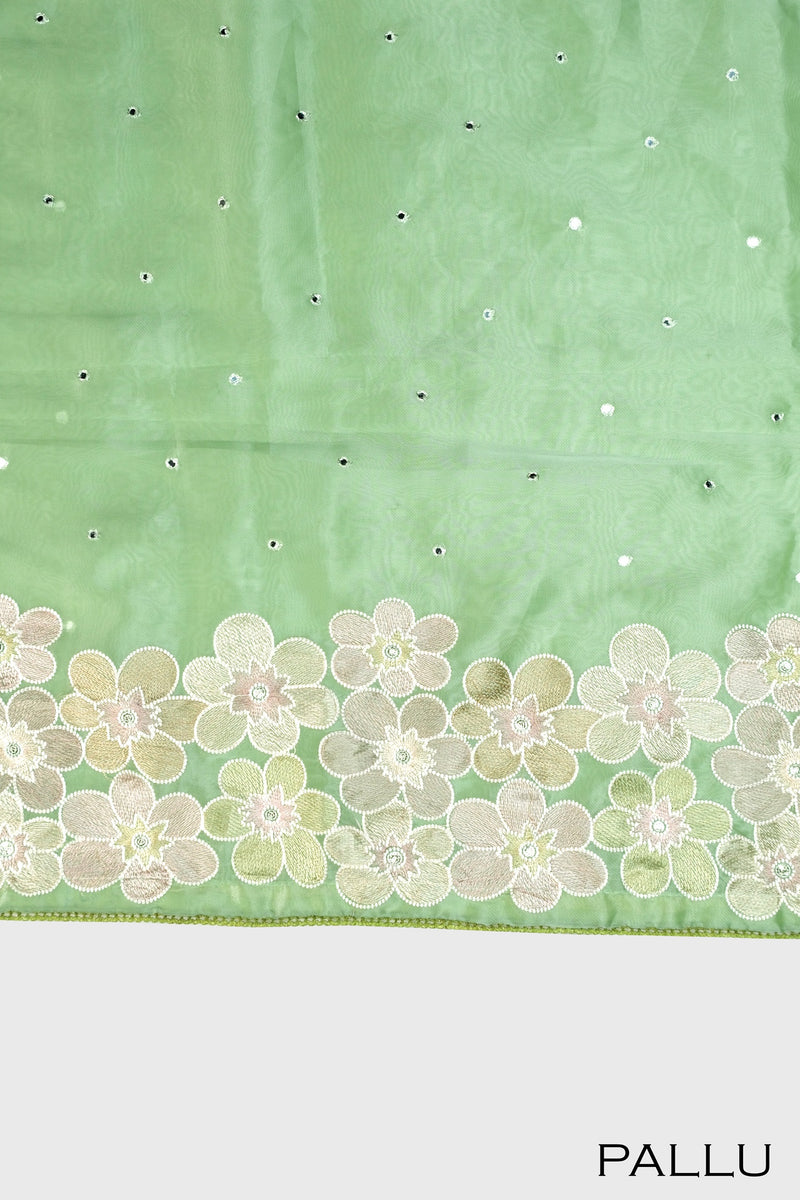 Pastel green color soft Organza saree.
