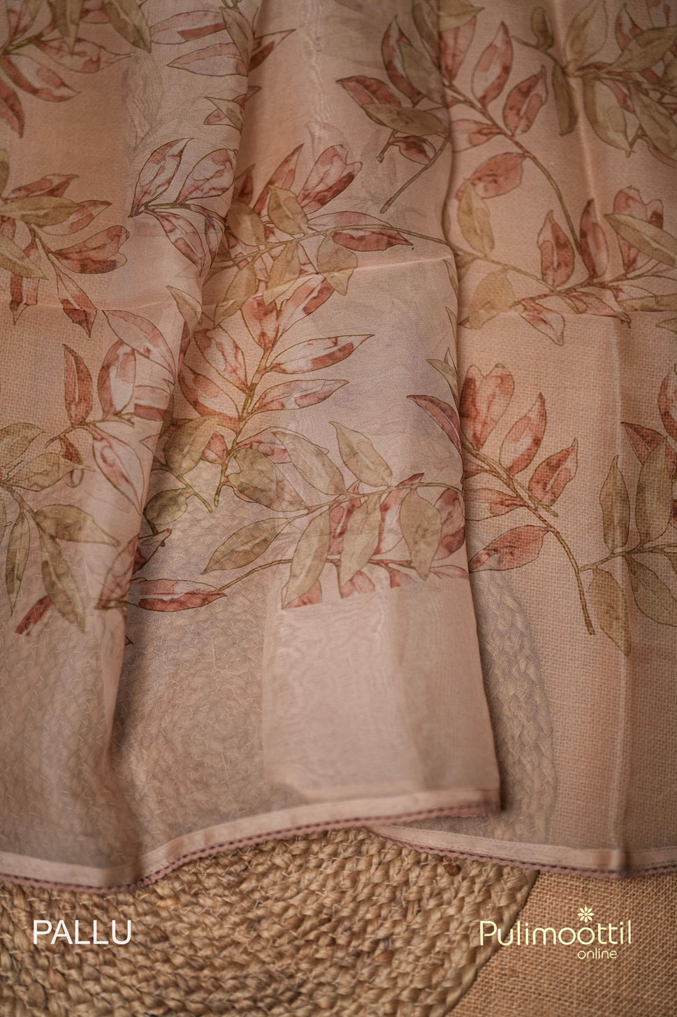 Off White Colour Organza Fancy Saree