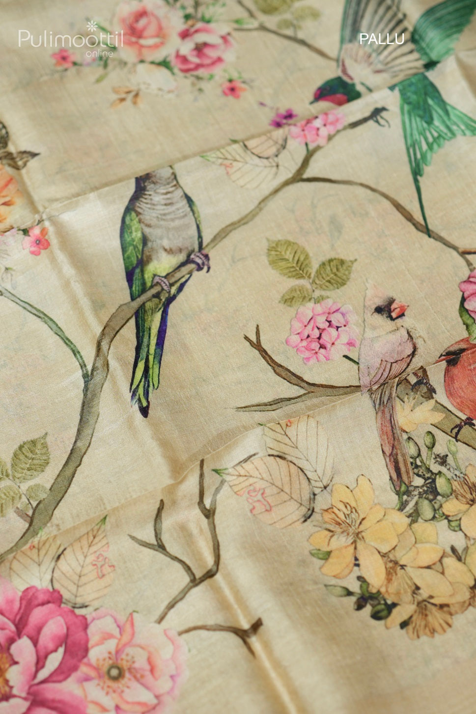 Light chickoo-colored printed Tussar silk saree