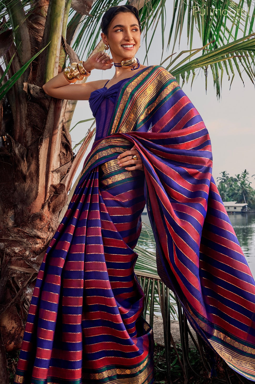 Multicolor Kanchipuram Designer Saree