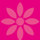 Pulimoottil Silks, Wedding & Kancheepuram Sarees Online in Kerala
