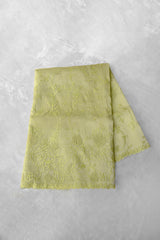 Pastel Green Color Organza Saree