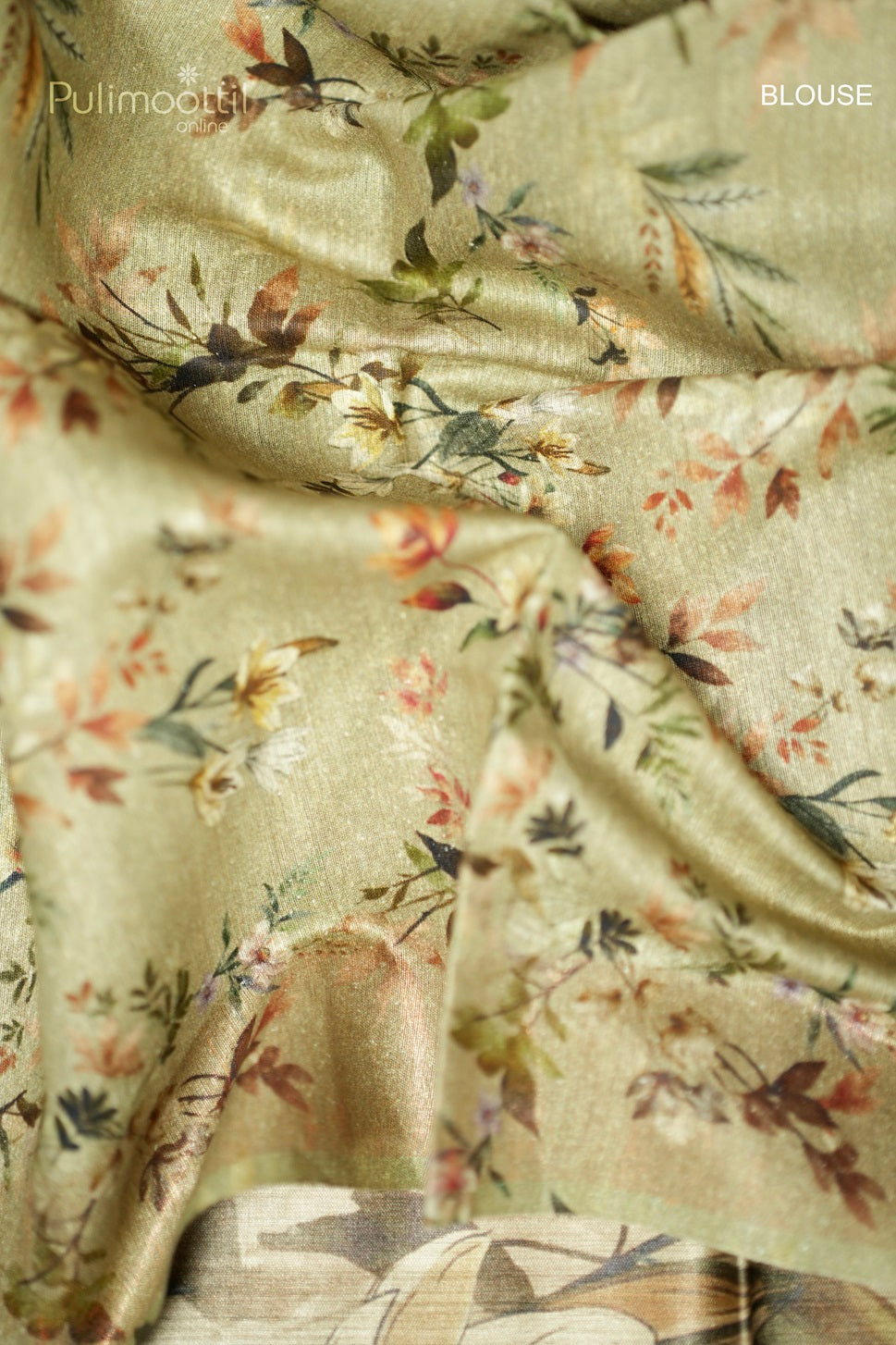 Chikoo Colour Tussar Silk Saree