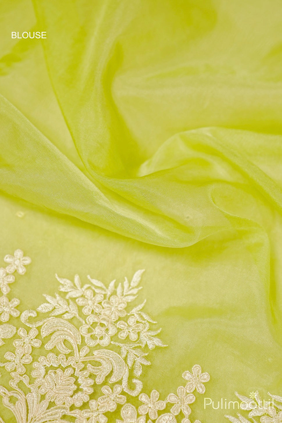 Light Green Organza Fancy Saree.