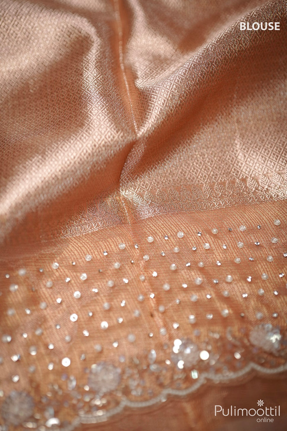 Chikku Shade Organza Fancy Saree.