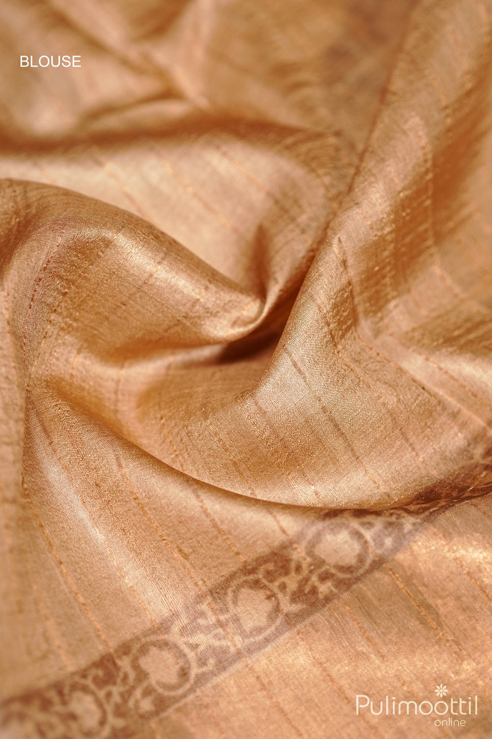 Pastel Chickoo Shade Tussar Silk Saree.