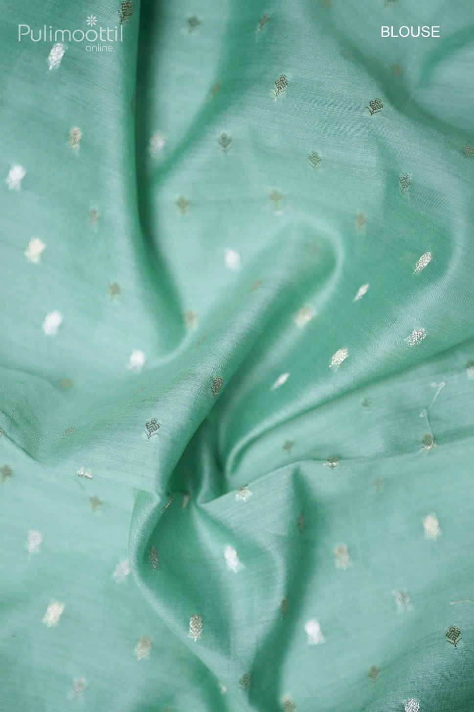 Light Persian Green Colour Appliqué Work Organza Fancy Saree