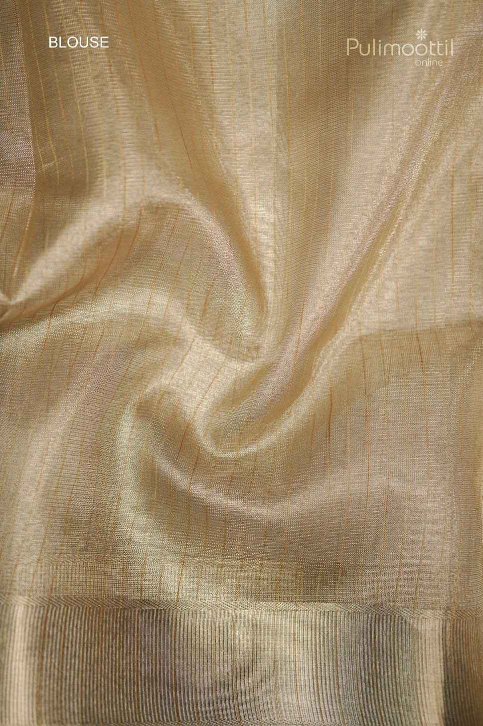 Golden Tissue Net Kota Appliqué Work Fancy Saree