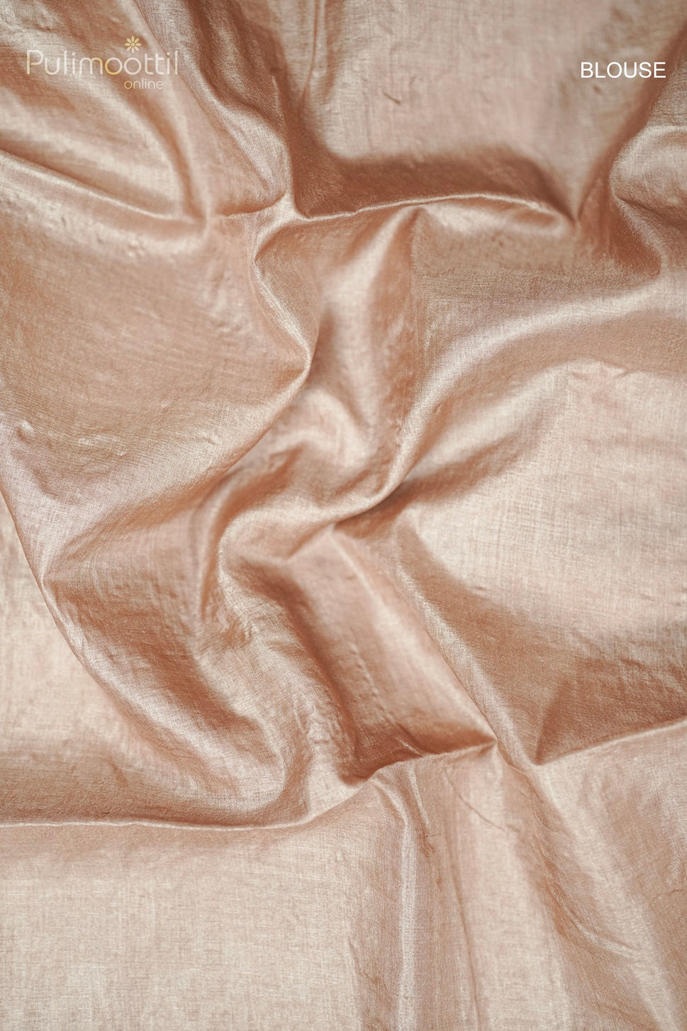 Chikoo Colour Tussar Silk Saree