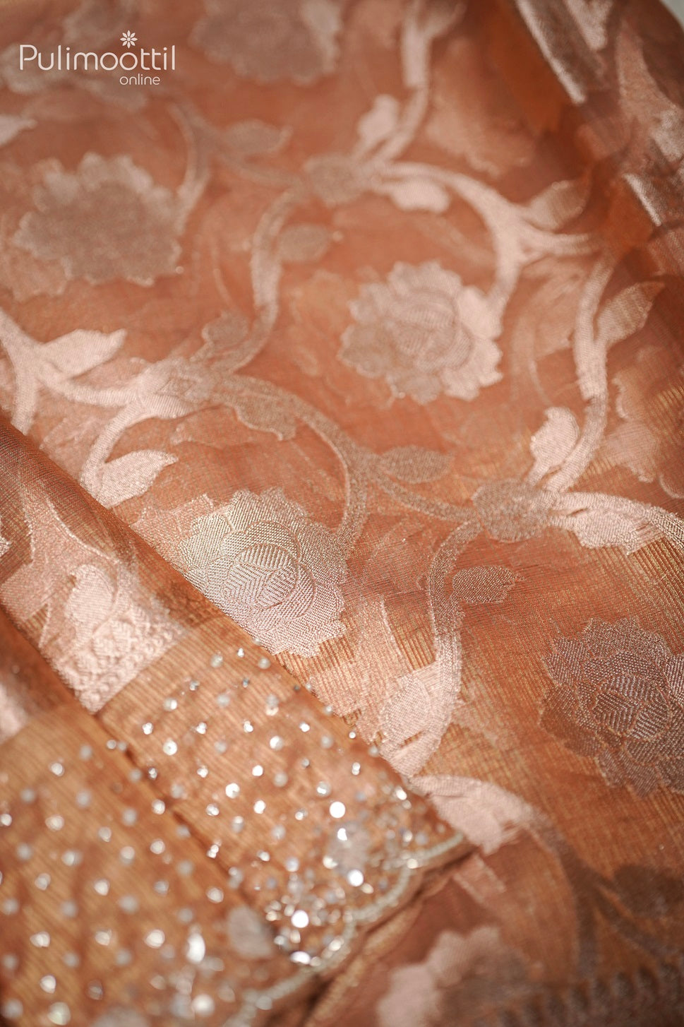 Chikku Shade Organza Fancy Saree.
