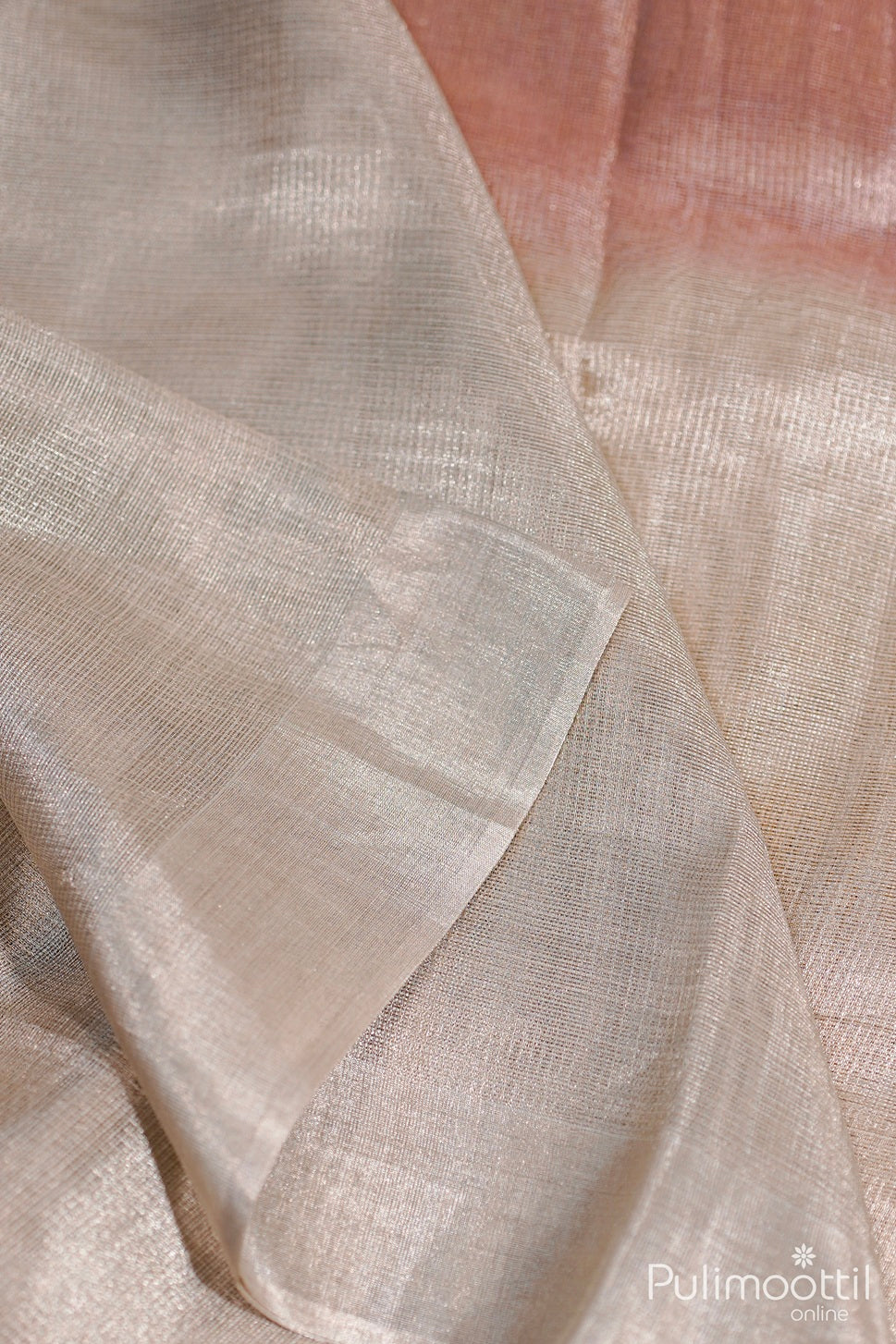 Net Cotta Tissue Saree.