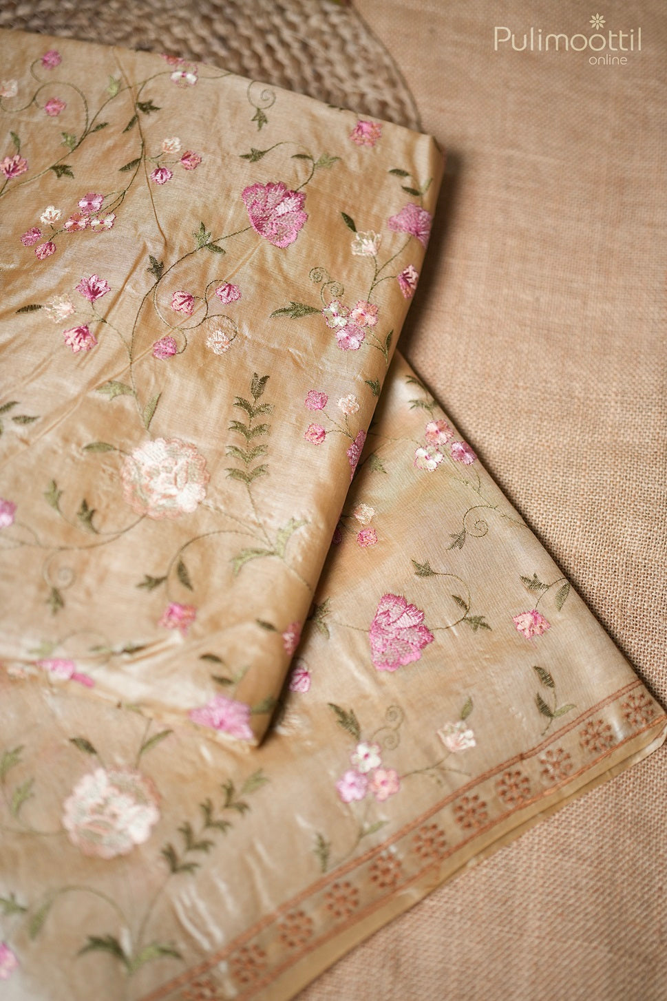 Light Chickoo Colour Tussar Silk Saree