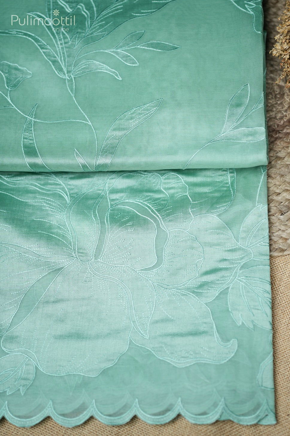 Light Persian Green Colour Appliqué Work Organza Fancy Saree