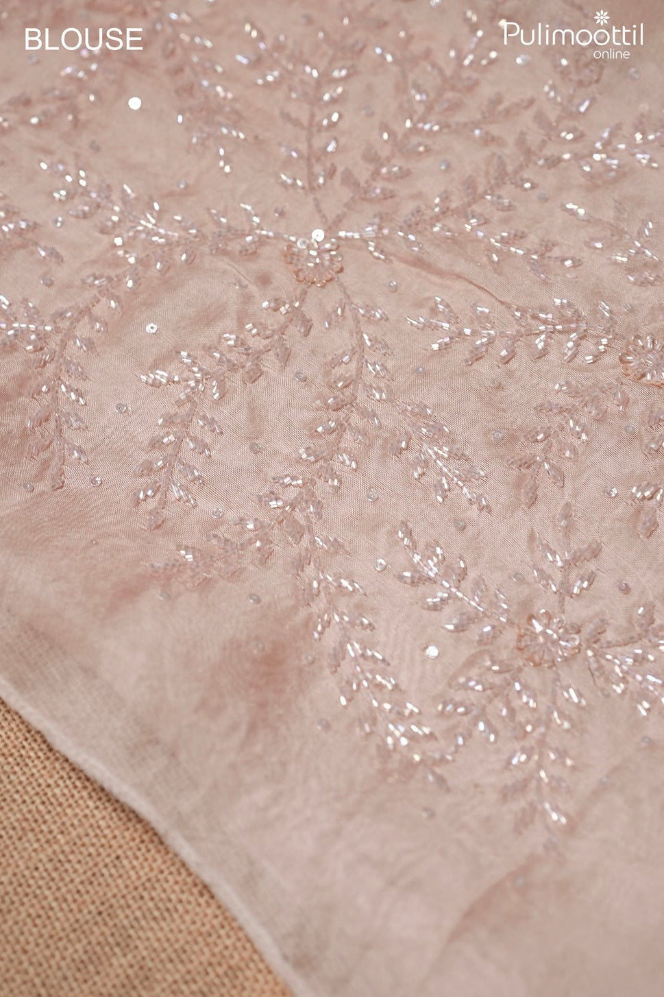 Light peach color Turkish organza fancy saree
