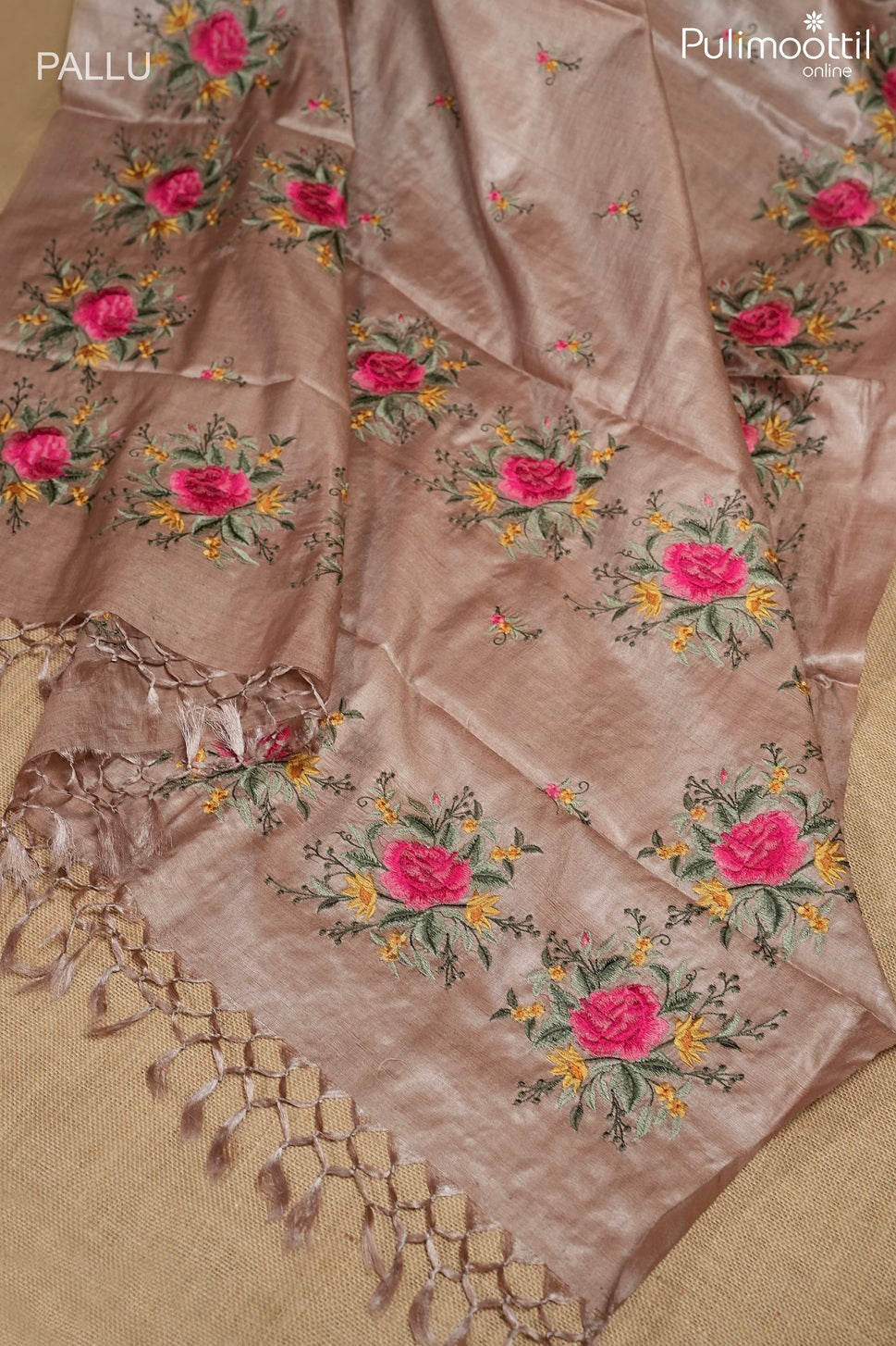 Chikoo color Tussar silk saree