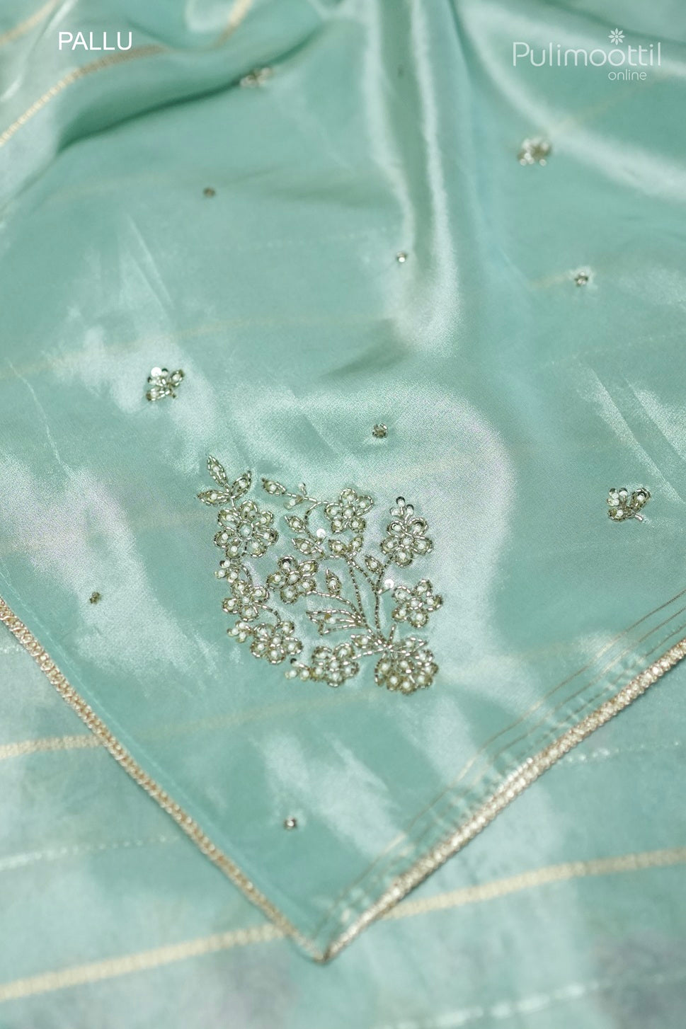 Pastel mint green color organza fancy saree