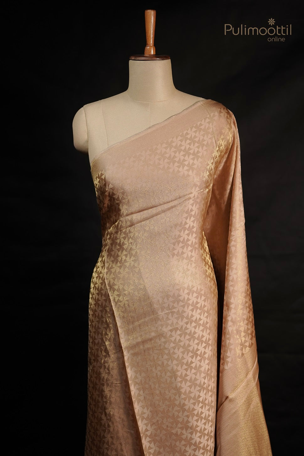 Pastel Chikoo Shade Colour Banarasi Saree.