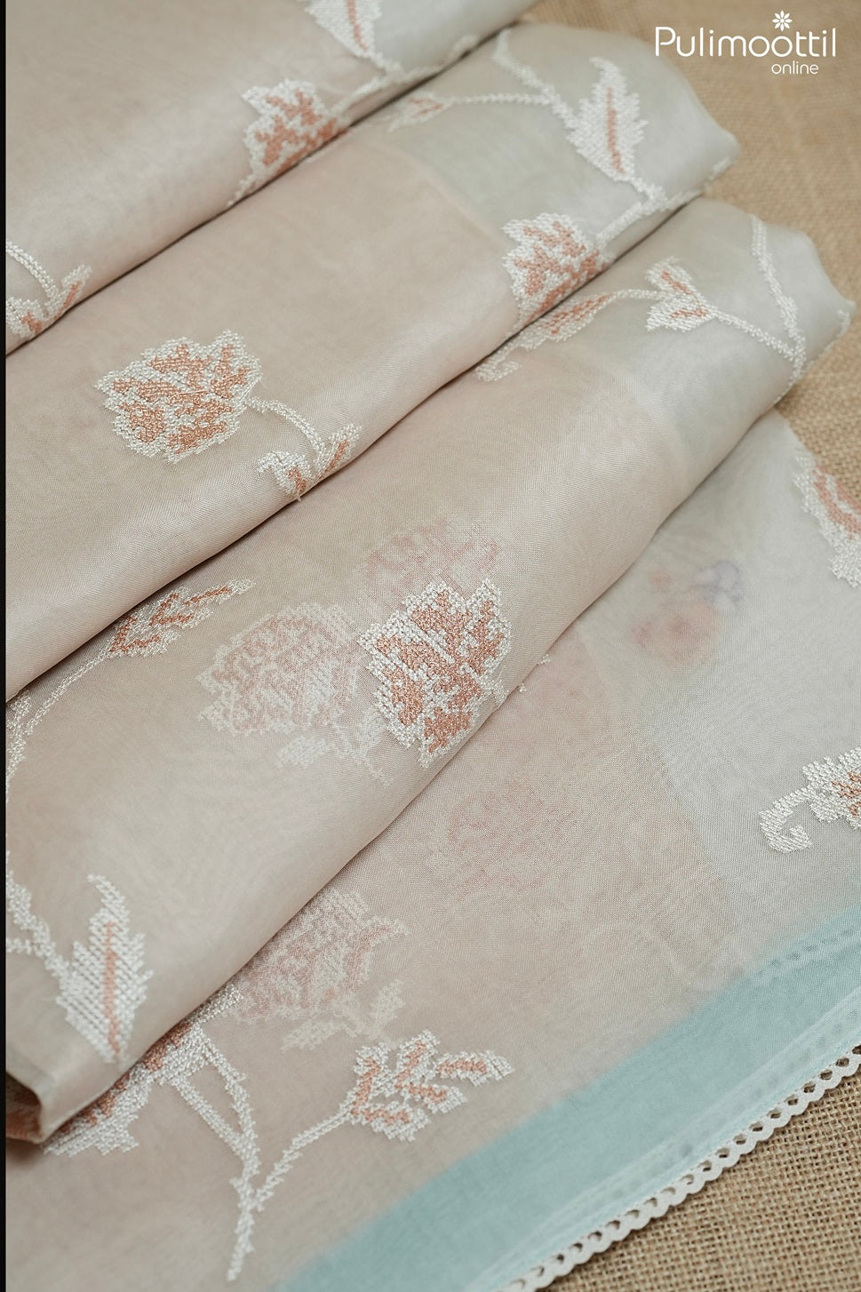 Light chikoo color organza fancy saree
