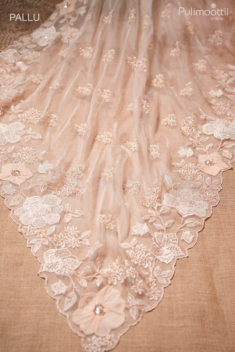 Light peach color glass organza saree