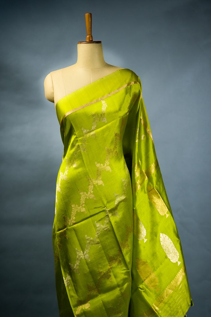 Pear Green Colour Mango Silk Saree
