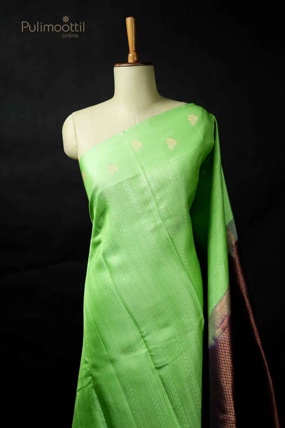 Mint Green Colour Kanchipuram Soft Silk Saree